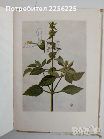 Лекарствени култури, снимка 8 - Специализирана литература - 52279282