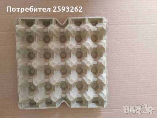 Продавам кори за яйца , снимка 10 - Кокошки и пуйки - 28068248