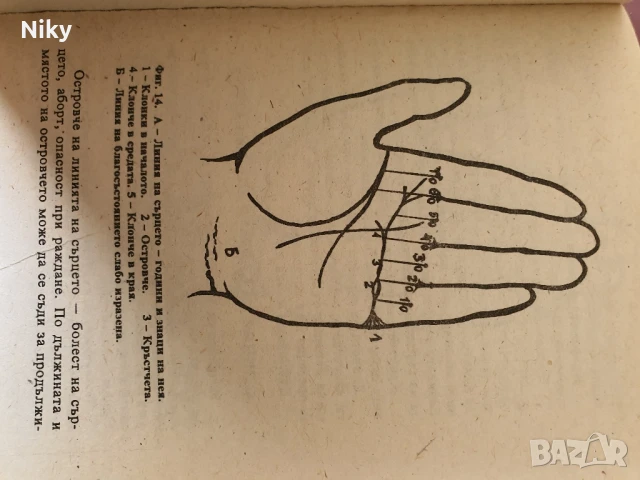Хиромантия , снимка 6 - Езотерика - 51205016