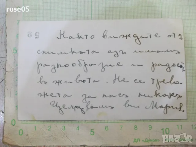 Снимка стара на пет българи в овощната градина в Америка, снимка 2 - Колекции - 48081278
