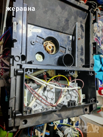 Café Bonitas Tech One