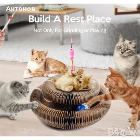 Драскалка за котки „Магически Акордеон“, снимка 4 - За котки - 48853934