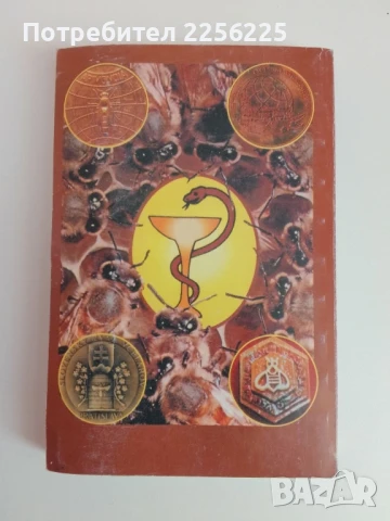 АПИТЕРАПИЯ Лечение с пчелни продукти и основи на пчеларството, снимка 13 - Специализирана литература - 51124985