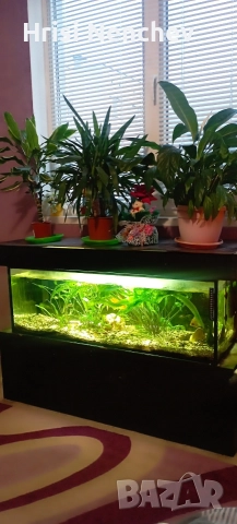 Аквариум 120л 
