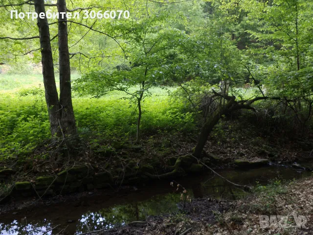 Продавам имот до река, снимка 10 - Къщи - 50265257