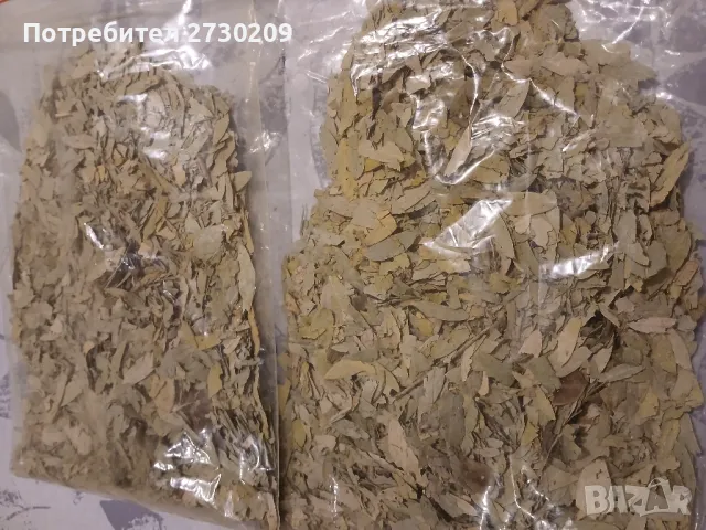 Чай Сена Майчин Лист от 200гр до 1000кг, снимка 8 - Други - 49164846