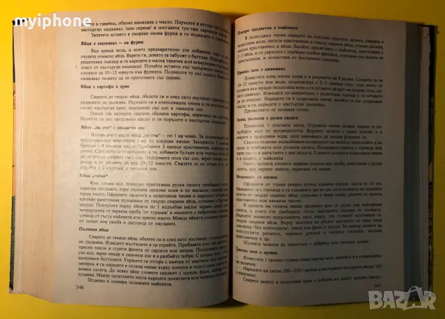 Стара Книга За Всеки Ден и Всеки Дом Домакинска Енциклопедия, снимка 13 - Специализирана литература - 49240653
