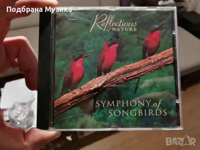 Уникален запис пристигна от сащ, снимка 2 - CD дискове - 43127030