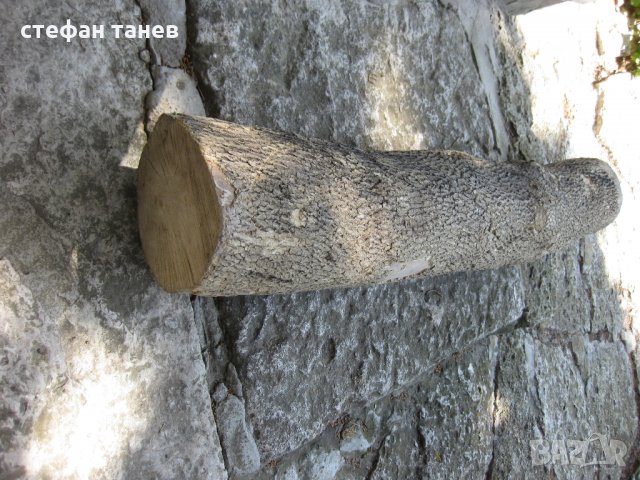 Чемшир - дървен материал за украсна резба, снимка 5 - Антикварни и старинни предмети - 18621658