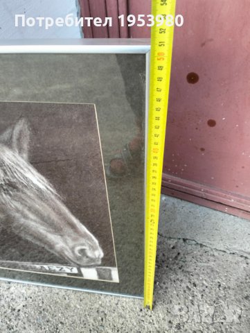 Графика на конска глава, снимка 6 - Антикварни и старинни предмети - 44028691