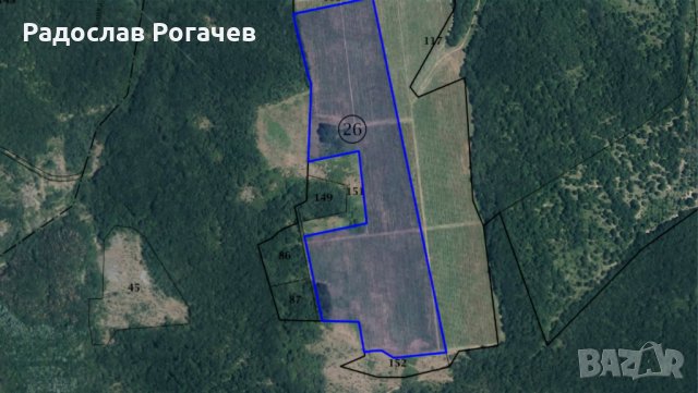 Собственик продава, 93 дка лозя 4-та кат. в община Царево, обл. Бургас, снимка 3 - Земеделска земя - 44105149