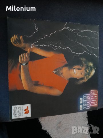 Andy Gibb плоча, снимка 1