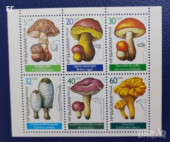 България, 1987 г. - малък лист марки, чисти, гъби, 1*45