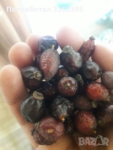Шипка за чай, снимка 2 - Домашни продукти - 38781607