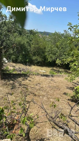 Косене на тревни площи почистване, снимка 16 - Други почистващи услуги - 37099775