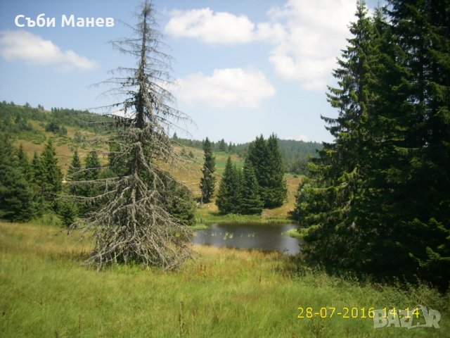 Продавам парцел на Хайдушки поляни.🌲, снимка 5 - Парцели - 19446034
