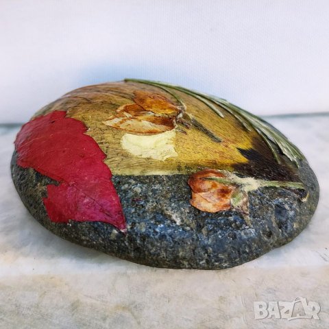 Преспапиета -- хербарии върху камъни, снимка 10 - Други - 43854706