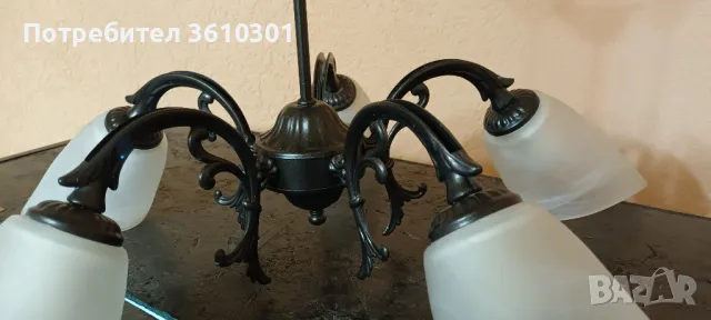 Полилей с пет гнезда за крушки!, снимка 2 - Полилеи - 48195028