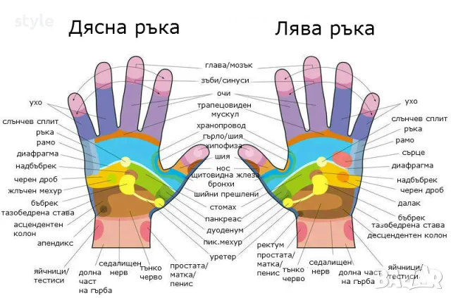 Рефлексологичен здравословен масаж, снимка 2 - Масажи - 34652348