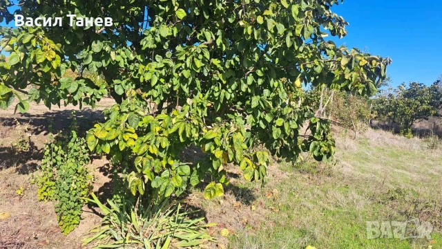 къща в Селци , снимка 10 - Къщи - 53261452