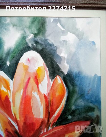 "Бананов цвят", снимка 3 - Картини - 39470769