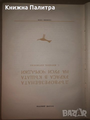 Дърворезбената украса в къщата на Руси чорбаджи, снимка 2 - Други - 32814232