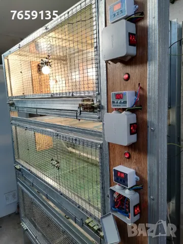 Брудери и клетки, снимка 6 - За селскостопански - 47449763