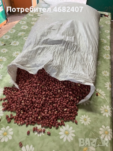 Български ФЪСТЪК, снимка 3 - Разсади - 52790593