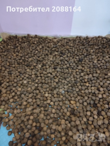 Орехи 2025, снимка 2 - Други - 52596136