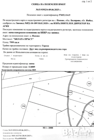 Гора 8 дка - с. Попово (общ. Болярово), снимка 1