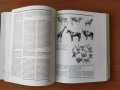Триезична Енциклопедия Природа, снимка 6
