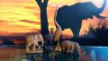 Дървени Африкански животни, снимка 1 - Декорация за дома - 28478646