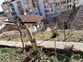Къща в централната част на ВЕЛИКО Търново с гараж. , снимка 10