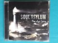 Soul Asylum – 2006 - The Silver Lining(Alternative Rock), снимка 1 - CD дискове - 43592767