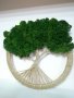 Подарък дървото на живота/естествен скандинавски мъх , снимка 1 - Декорация за дома - 33231195