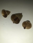 Чан, звънец, камбана, снимка 3