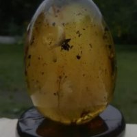 Старинно яйце от 100% натурален Балтийски кехлибар 1900 година. , снимка 1 - Антикварни и старинни предмети - 26961686