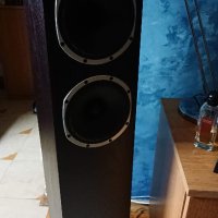 Fyne Audio F501, снимка 1 - Тонколони - 37544210