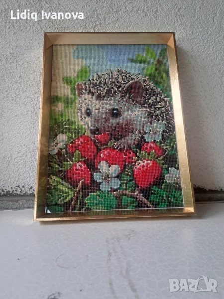 Диамантен гоблен таралеж-готов и рамкиран, снимка 1