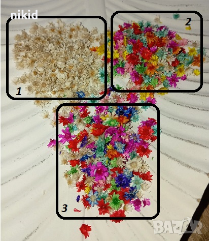 100 бр миниатюрни Сухи сушени цветя декоративни декорация за нокти маникюр бижута и сапун смола, снимка 1
