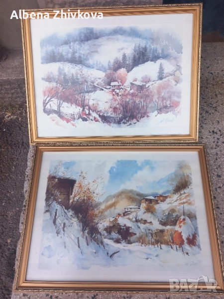 две картини рамкирани под хелеоматично стъкло, снимка 1