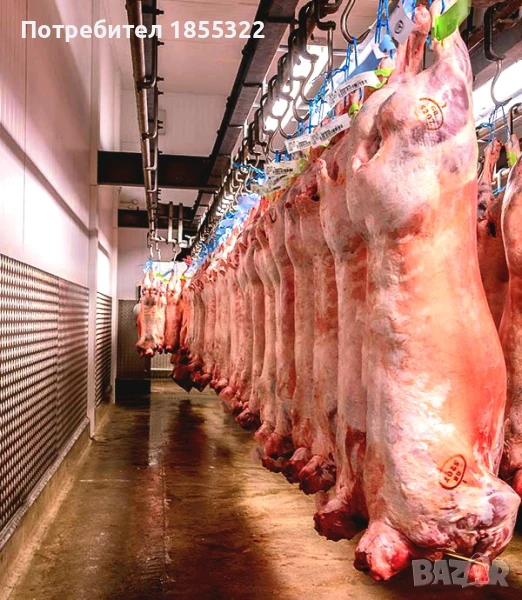 Работа във Великобритания , снимка 1