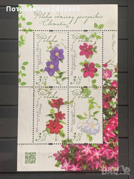 569. Полша 2019 = “ Флора. Полски Клематис ” ,MNH,**, снимка 1