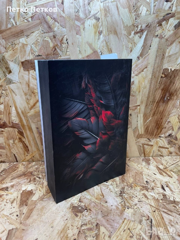 Книга: „Змията и крилете на нощта“ – Кариса Броудбент, снимка 1