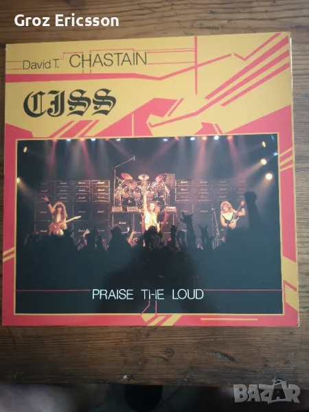 Грамофонни плочи Heavy Metal по 40 лв., снимка 1