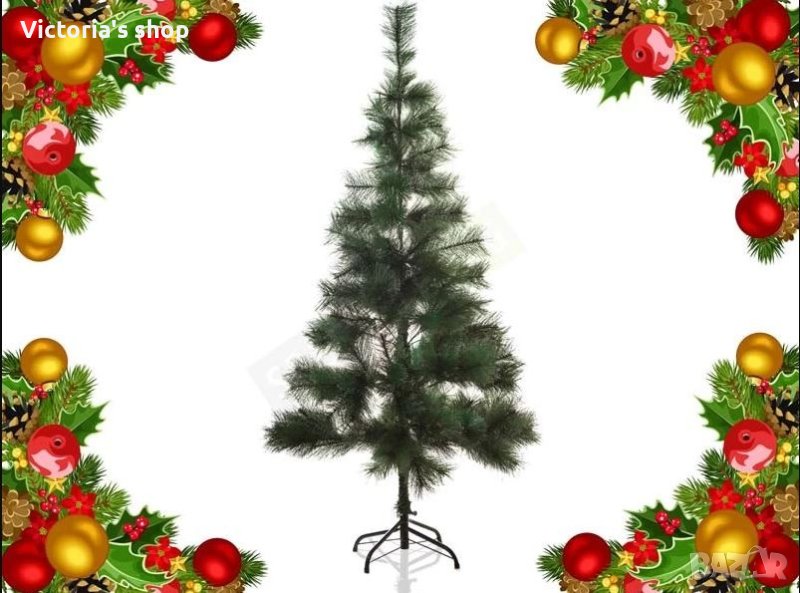 Коледна елха/ борче със зелени връхчета , снимка 1