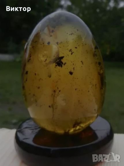 Старинно яйце от 100% натурален Балтийски кехлибар 1900 година. , снимка 1