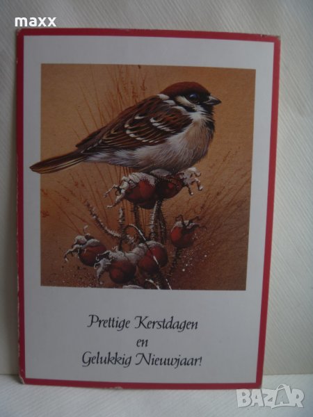 Картичка птички Presttige Kerstdagen en Gelukkig Nieuwajaar 1, снимка 1