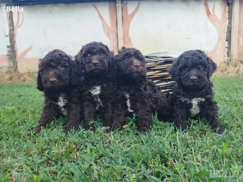 Лагото , снимка 1