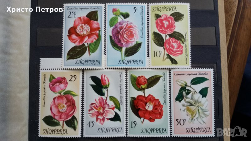 АЛБАНИЯ 196? - ФЛОРА, ЦВЕТЯ, снимка 1